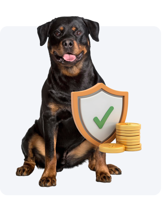 Discover Pet Insurance