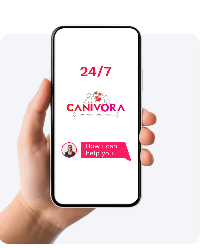 Prescription meds, delivered Fast Discover pet insurance